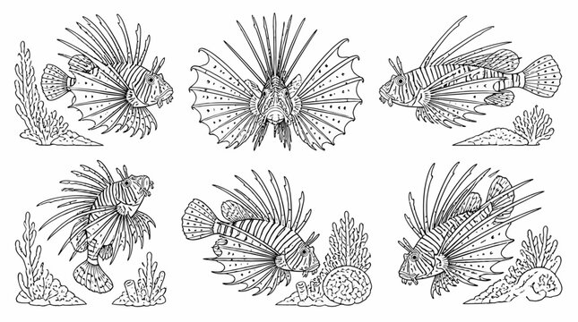 Lionfish ink illustration set featuring detailed marine life