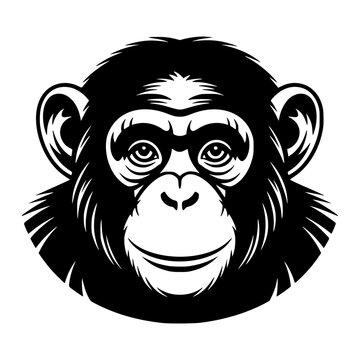 Chimpanzee Face Looking Forward