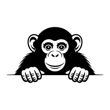 Chimpanzee Peeking Over a Surface