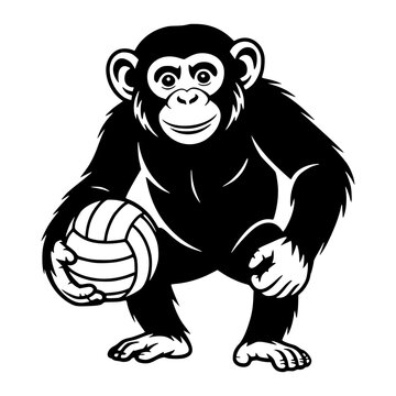 Chimpanzee Holding a Volleyball