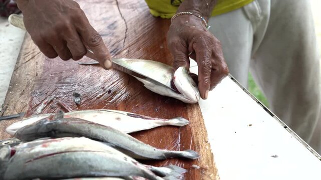 Traditional fish cleaning and filleting process by hand on a wooden table