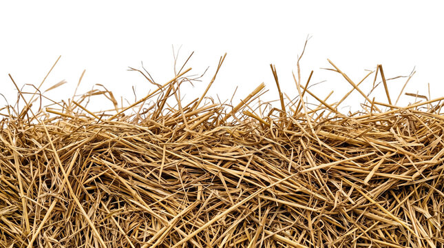 Dried hay straw border pile