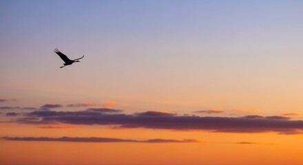 Fototapeta premium Silhouette of a bird flying gracefully across a vibrant sunset sky with clouds.