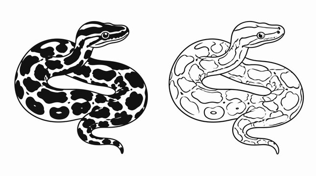 Coiled Python Illustration, Black and White Graphic Reptile Design