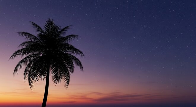 Silhouette of a Palm Tree Against a Vibrant Sunset Sky.