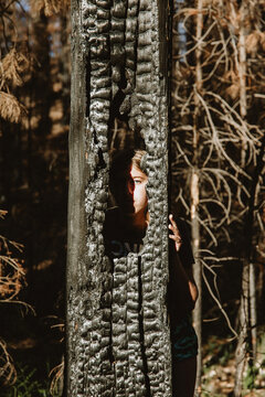 Teen Girl Looking Through Charred Tree 