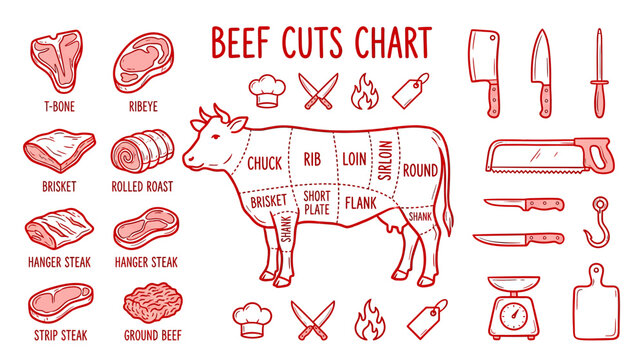 Hand-drawn Beef Cuts Chart with Meat and Tools