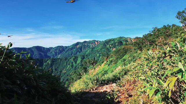 日本百名山の白山の登山道