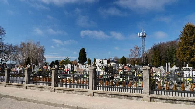 Warm sunlight filters through Baltic pines onto historic seaside graves and coastal memorials at the peaceful, sandy Jastarnia Cemetery on Poland's Hel Peninsula.