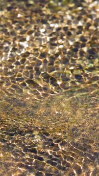 Sunlight Shimmering on Shallow Stream Water Over Rocks
