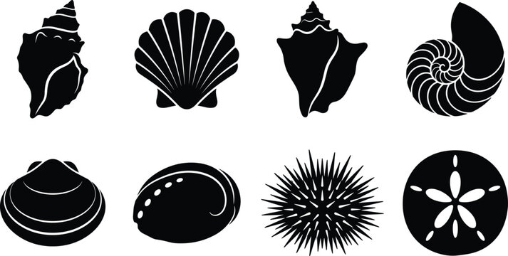 Marine Seashell Silhouette Icon Collection with Conch, Scallop, Nautilus, Clam, Urchin, and Sand Dollar