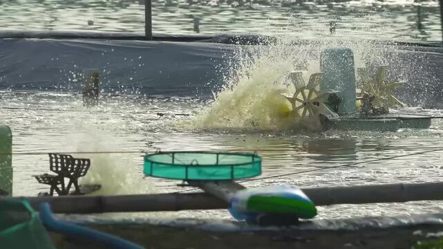 Close-Up of Rotating Paddlewheel Aerator in Shrimp Pond. The rotating blades agitate and propel the water, producing strong splashes, circulation and oxygenation for intensive aquaculture.