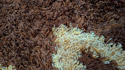 Close up texture of cozy fluffy shaggy carpet showing soft fibers in brown and light cream tones. Great for textile design, interior background, and wallpaper © Bendy Moe