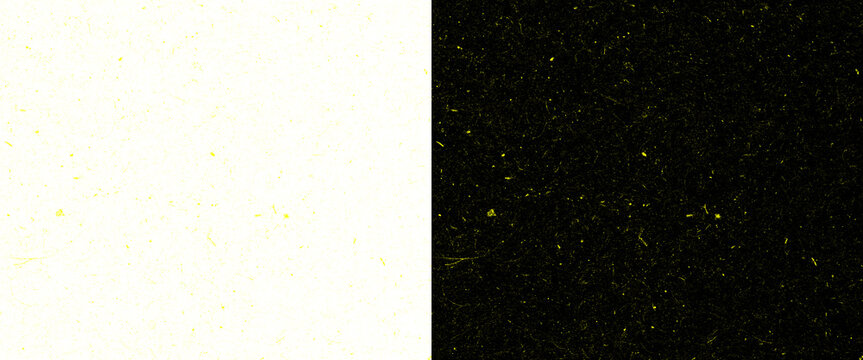 Minimalist split screen background with white and black textures, dual tone contrast surface, grainy paper and stone texture for graphic design