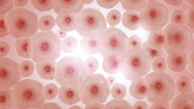Embryonic stem cell under microscope, Biological therapy concept, 3D rendering
