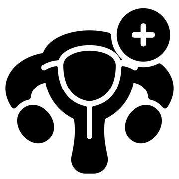 Cervix