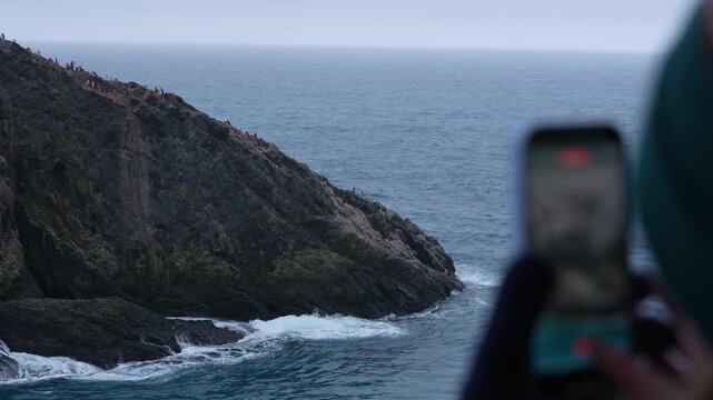 Close Up Phone Recording Video in Antarctica. Cruise Ship Passenger Woman's Hand Rack Focus From Point Wild on Elephant Island Penguin Colony