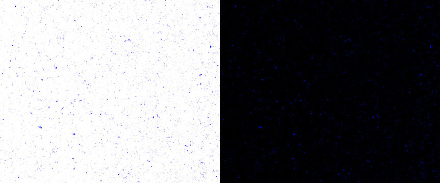 Minimalist split screen background with grainy texture, high contrast white and black panels, abstract noise surface for graphic design and overlays