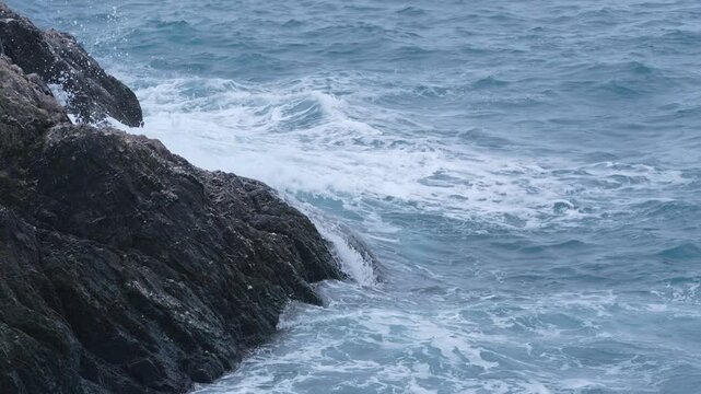 Slow Motion Penguin Dives From Rock Into Wave Splash in Antarctica Point Wild on Elephant Island. Huge Water Washes Over Chinstrap Wildlife