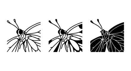 Monochromatic Butterfly Icons, Insect Vector Graphics, Delicate Wing Silhouettes, Nature Art Elements © najrul