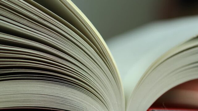 Horizontal 4K macro video showing paper edges of a book moving subtly up and down forming an abstract leading line visual