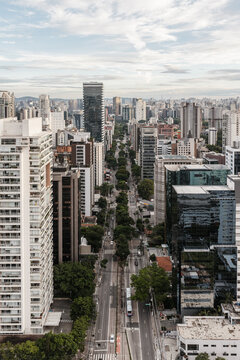 Tree-lined avenue among high-rise buildings, Sao Paulo, Brazil