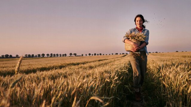 Young woman walking through golden wheat field holding woven basket at sunset with basket filled stalks