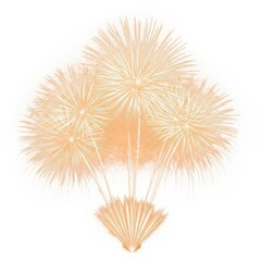 Obraz premium Peach Orange Fireworks Burst Illustration Isolated on White Background for Celebration and Festive Design