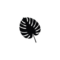 Monstera Leaf Silhouette Black Icon on White Background © Kuma
