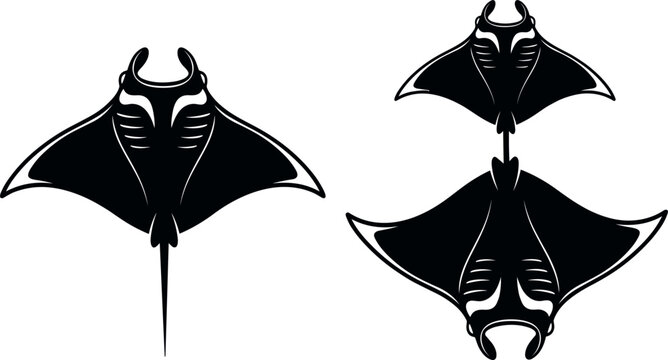 Manta Ray Silhouette Vector Set Featuring Reef Manta Rays Swimming From Dorsal and Ventral Views for Marine Biology and Ocean Wildlife Graphic Designs