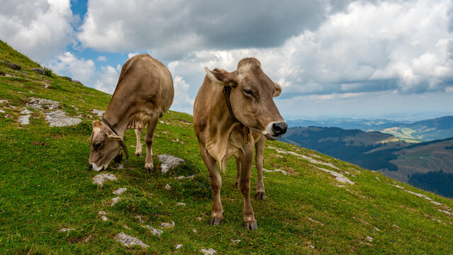 Landschaft im Appenzeller Land