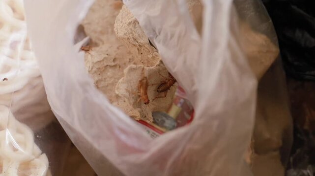 Pieces of stale bread and miscellaneous items contained within a clear plastic grocery bag, emphasizing themes of food waste, surplus, and responsible disposal