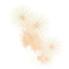 Obraz premium Golden Fireworks Bursts with Soft Smoke Effect Isolated on White Background for Festive Celebration and Holiday Design
