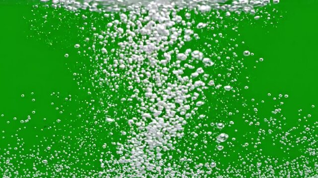Intense fizzy water bubbles exploding upwards on green screen chroma key, fast moving oxygen gas bubbles under clear liquid animation background, rapid soda fizzing effect for water asset overlay.