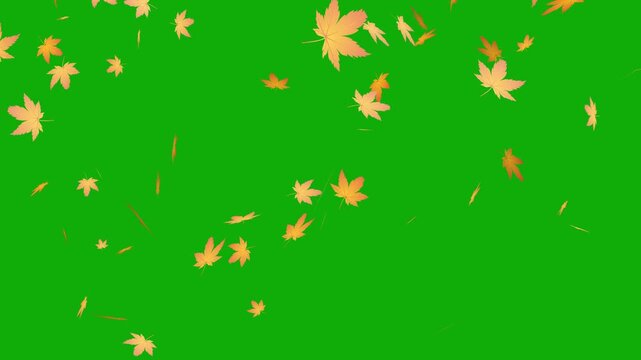 green screen falling autumn leaves background, autumn leaves falling animation chroma key transition overlay.