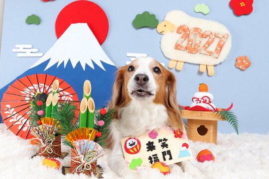 笑門来福 Images – Browse 343 Stock Photos, Vectors, and Video