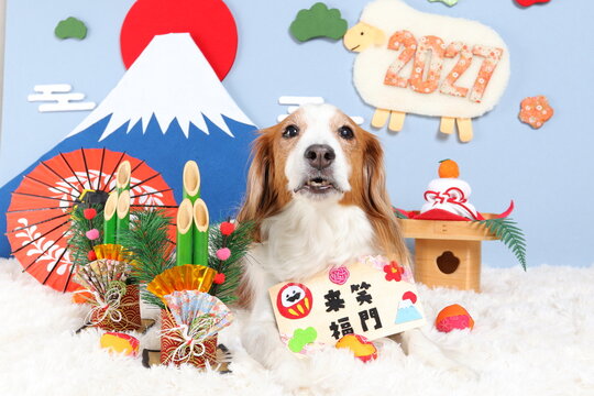 笑門来福 Images – Browse 343 Stock Photos, Vectors, and Video