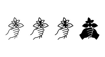 Obraz premium Hand Holding Basil Sprigs, Herb Collection Icons, Culinary Ingredient Vector Set