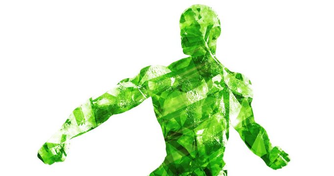 Complex Human Behavior and Mental Health Research