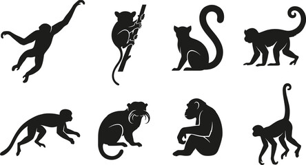 Primate Monkey Silhouette Collection with Climbing, Sitting, Walking, Swinging, and Resting Poses Isolated Black Animal Vector Illustration Set © MstSuborna