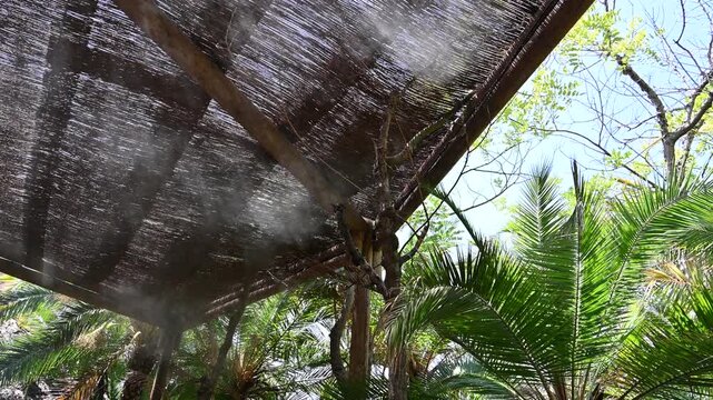 traditional thatched roof made of straw and reeds, traditional thatched roof made of straw and reeds. natural roofing material used in rustic, tropical and eco-friendly architecture.