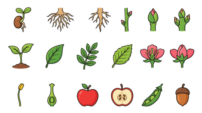 Handmade Plant Parts Icon Set Vector Illustration