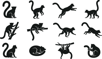 Ring Tailed Lemur Silhouette Collection with Sitting, Walking, Running, Climbing, Hanging, Sleeping, and Jumping Primate Poses Isolated Wildlife Vector Set © MstSuborna