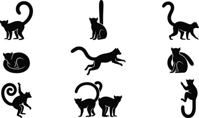 Ring Tailed Lemur Silhouette Collection with Walking, Sitting, Jumping, Sleeping, Standing, and Curled Tail Primate Poses Isolated Vector Set © MstSuborna