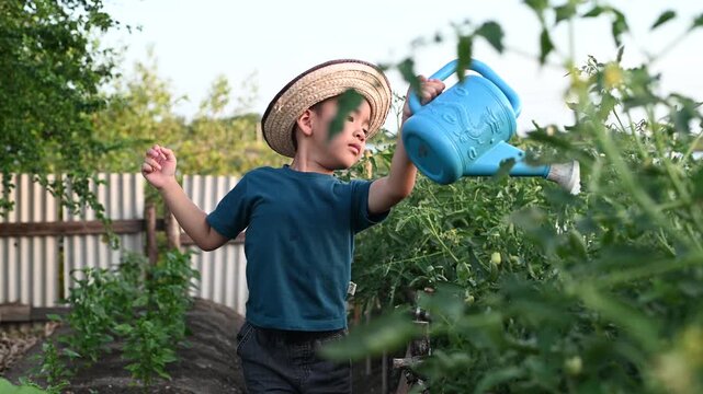 4 Year Old ASEAN Boy Planting Young Vegetable Seedlings in Soil Learning Organic Gardening and Sustainable Food Production
