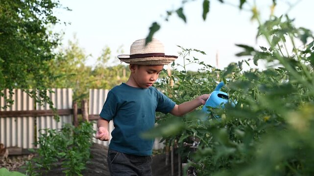 4 Year Old ASEAN Boy Planting Young Vegetable Seedlings in Soil Learning Organic Gardening and Sustainable Food Production