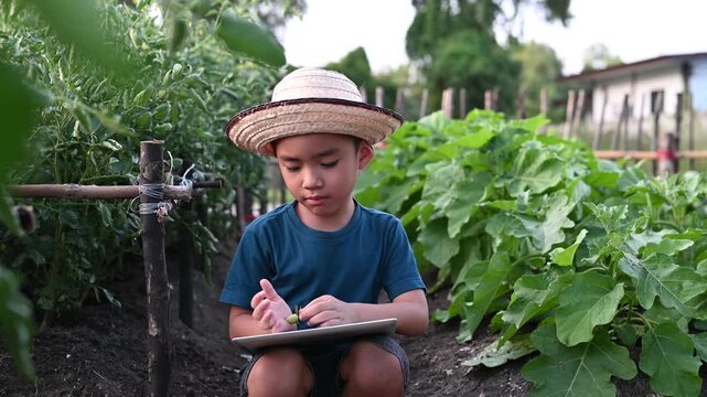 Asian little boy wearing straw hat inspecting green vegetable plant leaf in organic garden