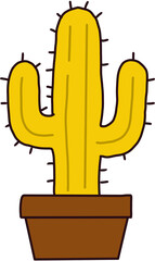 선인장,  cactus © 세화 권