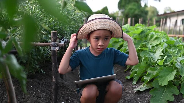 Asian little boy wearing straw hat inspecting green vegetable plant leaf in organic garden