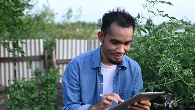 Asian smart farmer using digital tablet computer to check tomato plants in organic garden